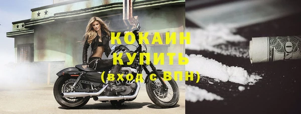 ешки Вяземский