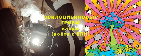 ешки Вяземский