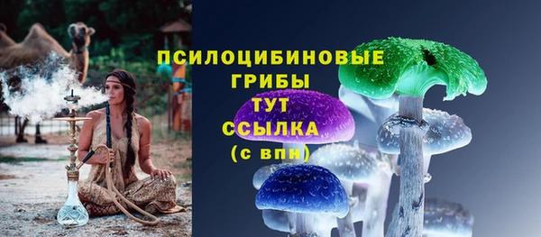 ешки Вяземский
