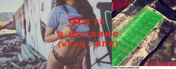 ешки Вяземский