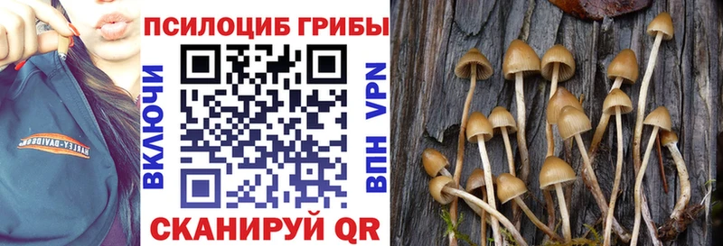 Галлюциногенные грибы мухоморы  купить   Снежинск 
