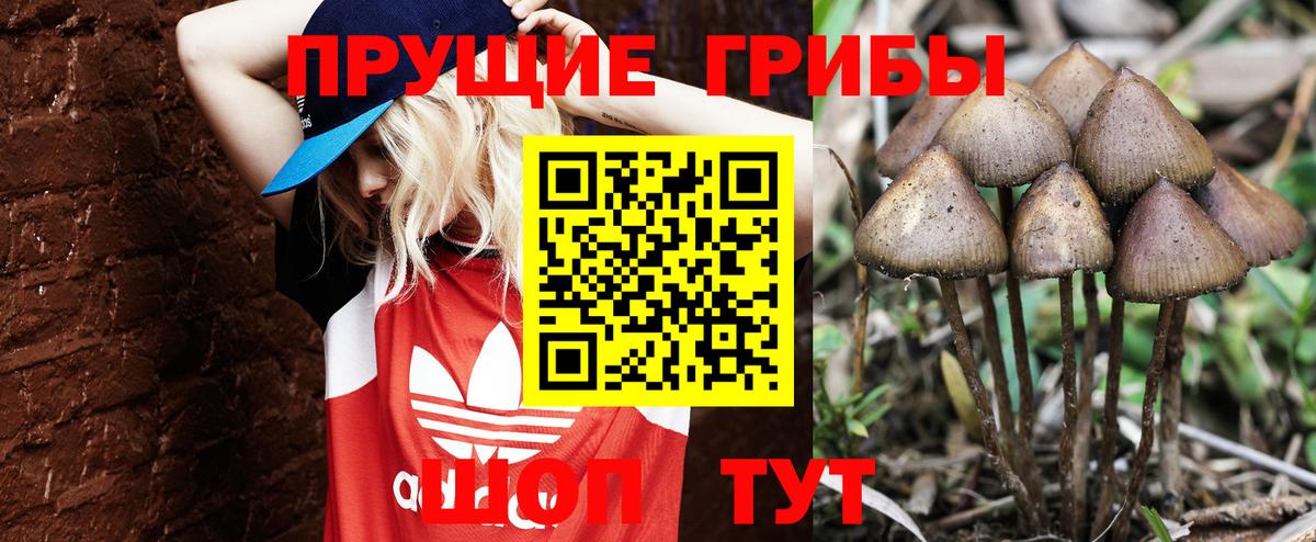 Снежинск  Псилоцибиновые грибы MAGIC MUSHROOMS  Вход с VPN  Псилоцибиновые грибы Magic Shrooms 