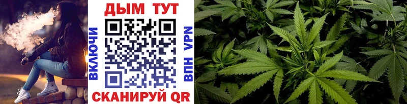 продажа наркотиков  mega ссылка  Марихуана Amnesia  Снежинск 